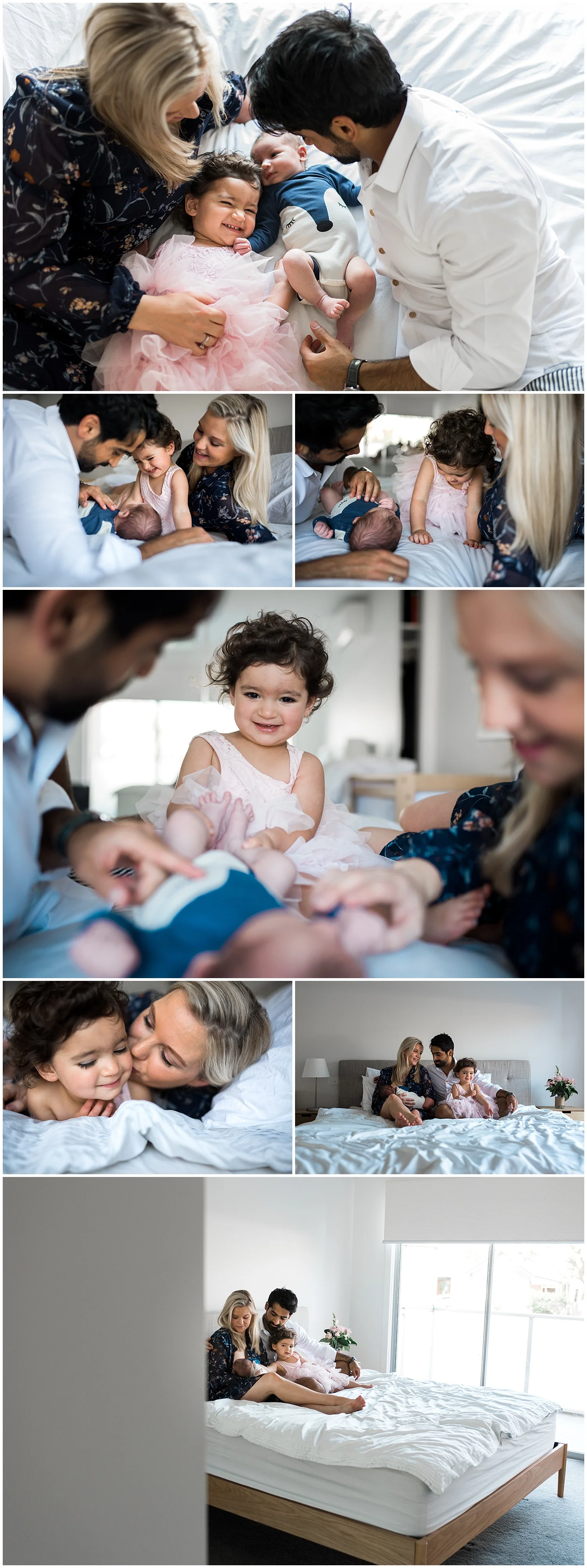 elwood newborn photography