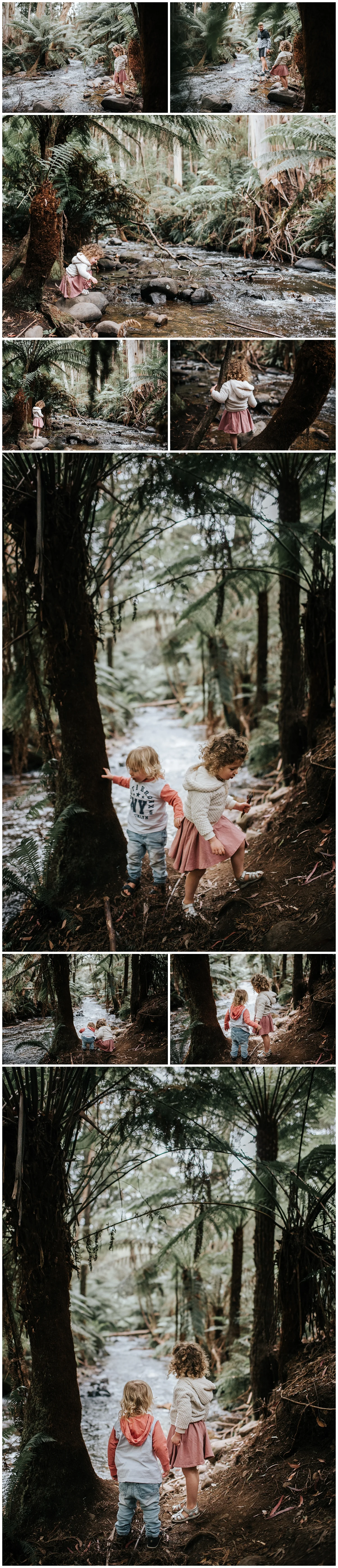 lifestyle family photographer dandenong ranges