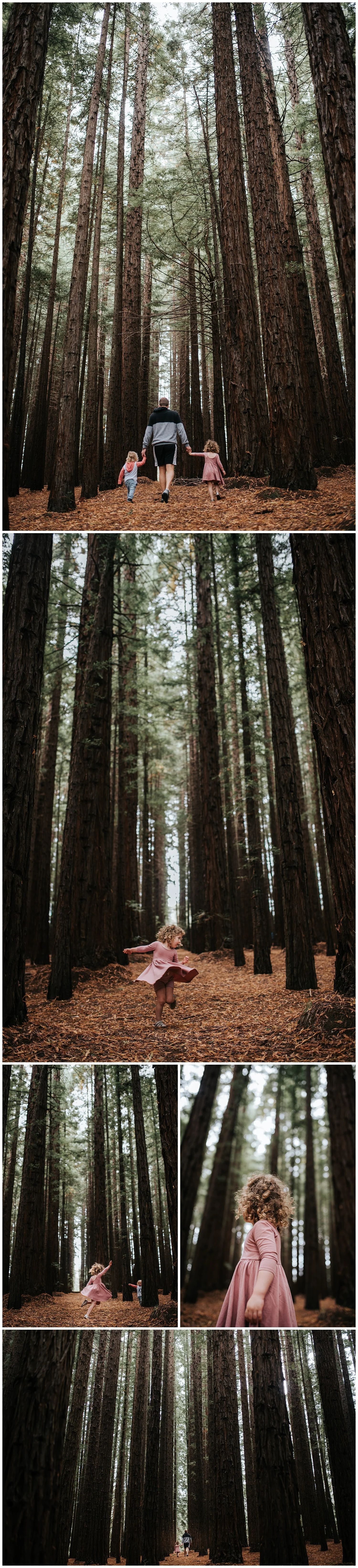 lifestyle family photographer western suburbs Melbourne