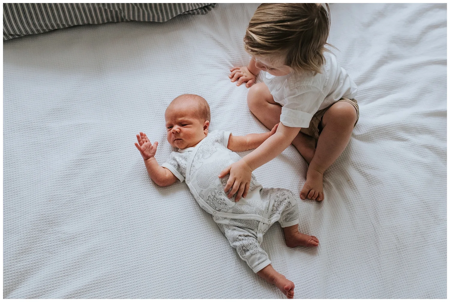 newborn photographer camberwell