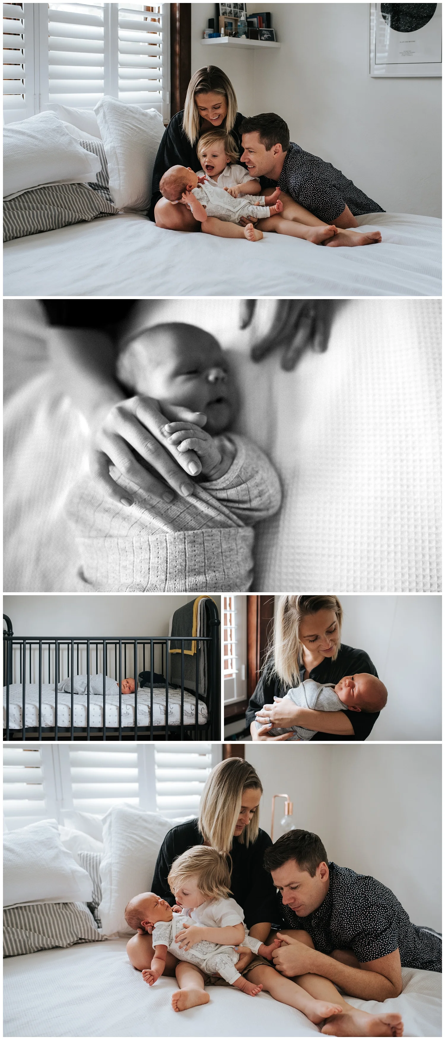elsternwick newborn photographer