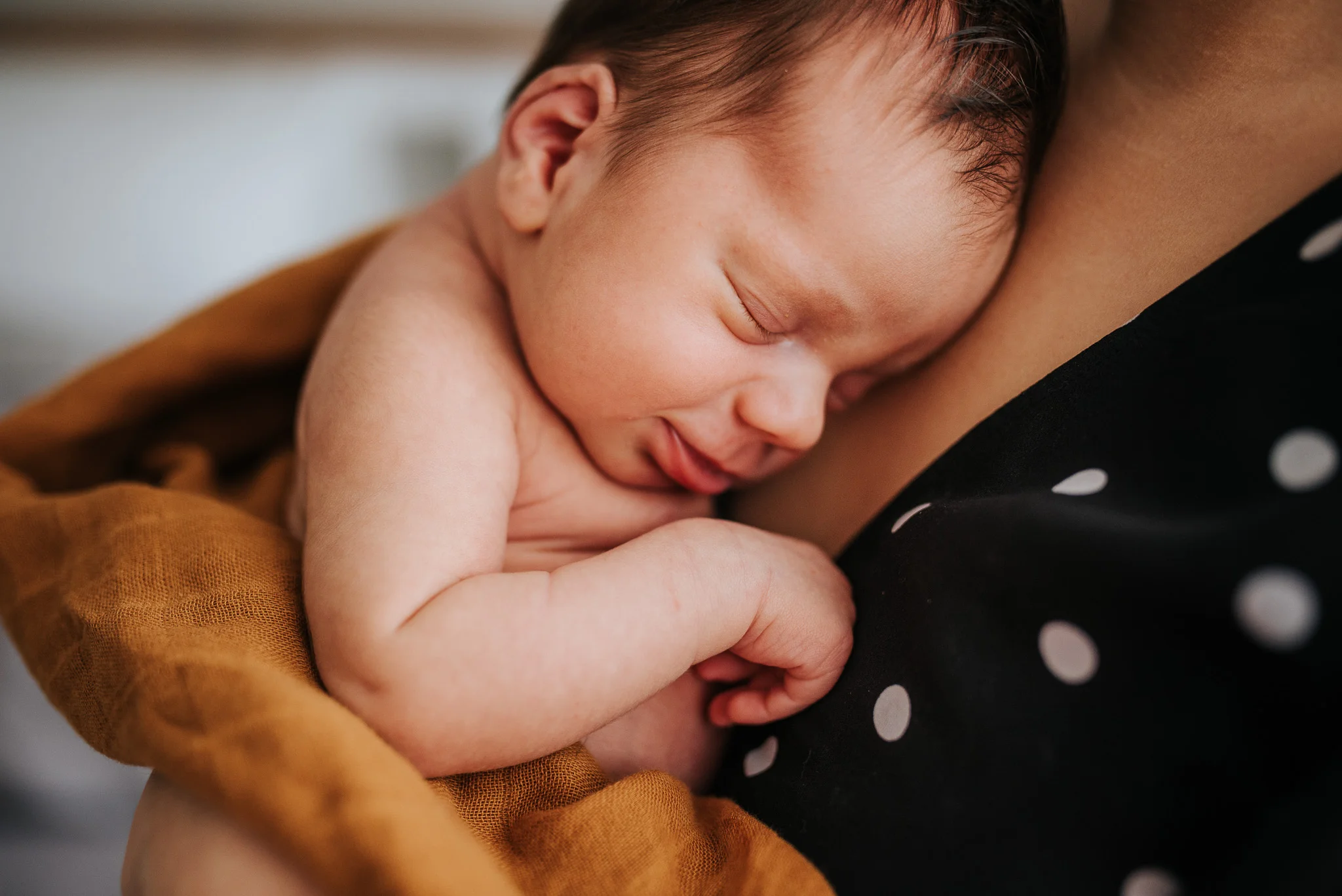 natural newborn photography melbourne