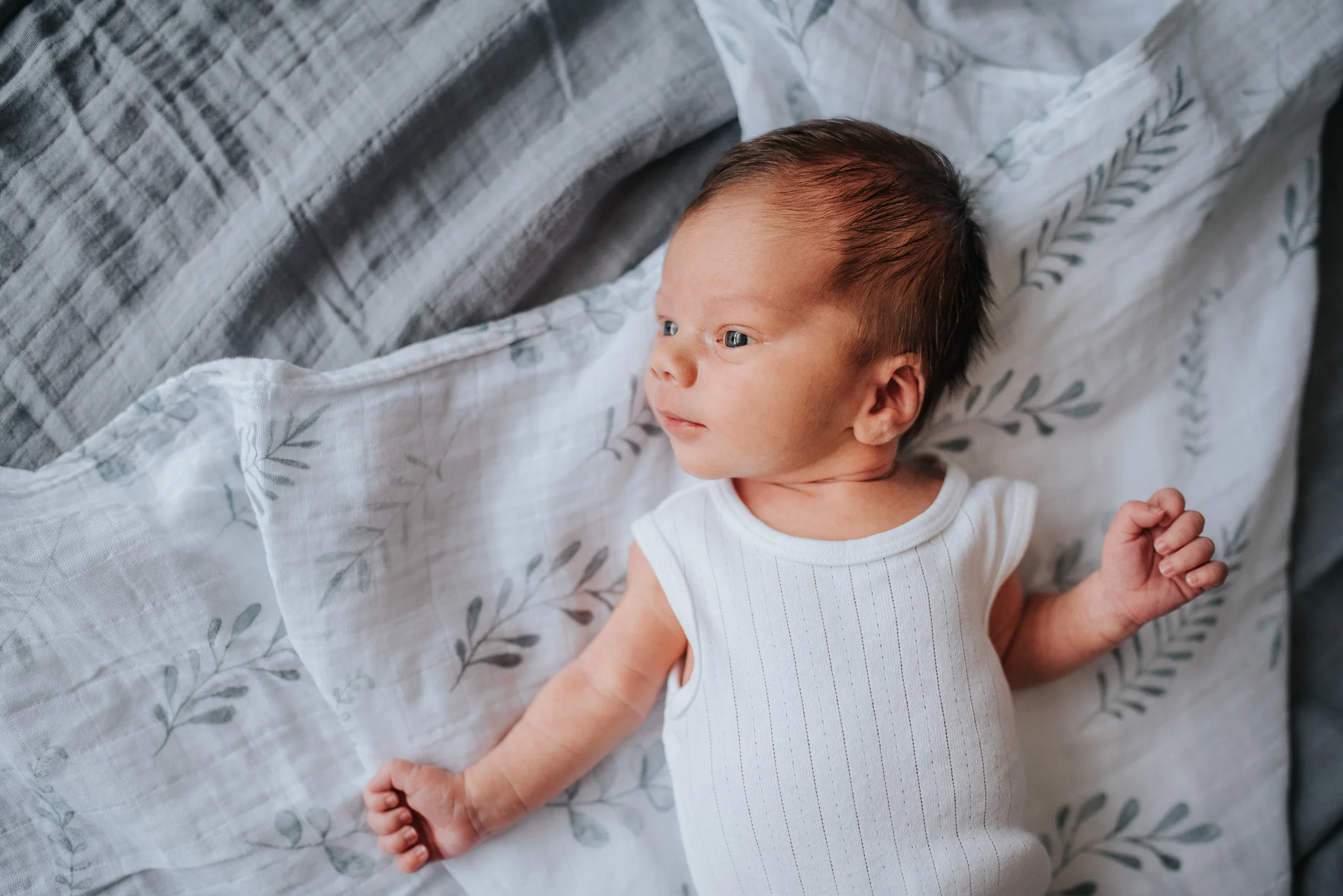 beautiful newborn photography in Melbourne
