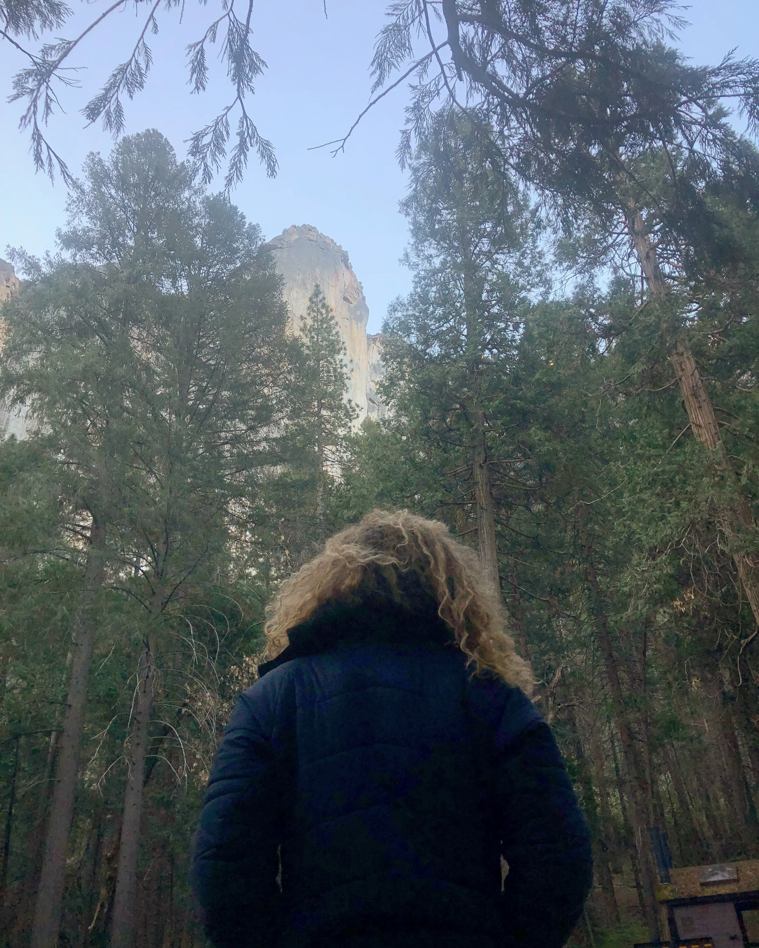 Leaning Tower: Day 1 