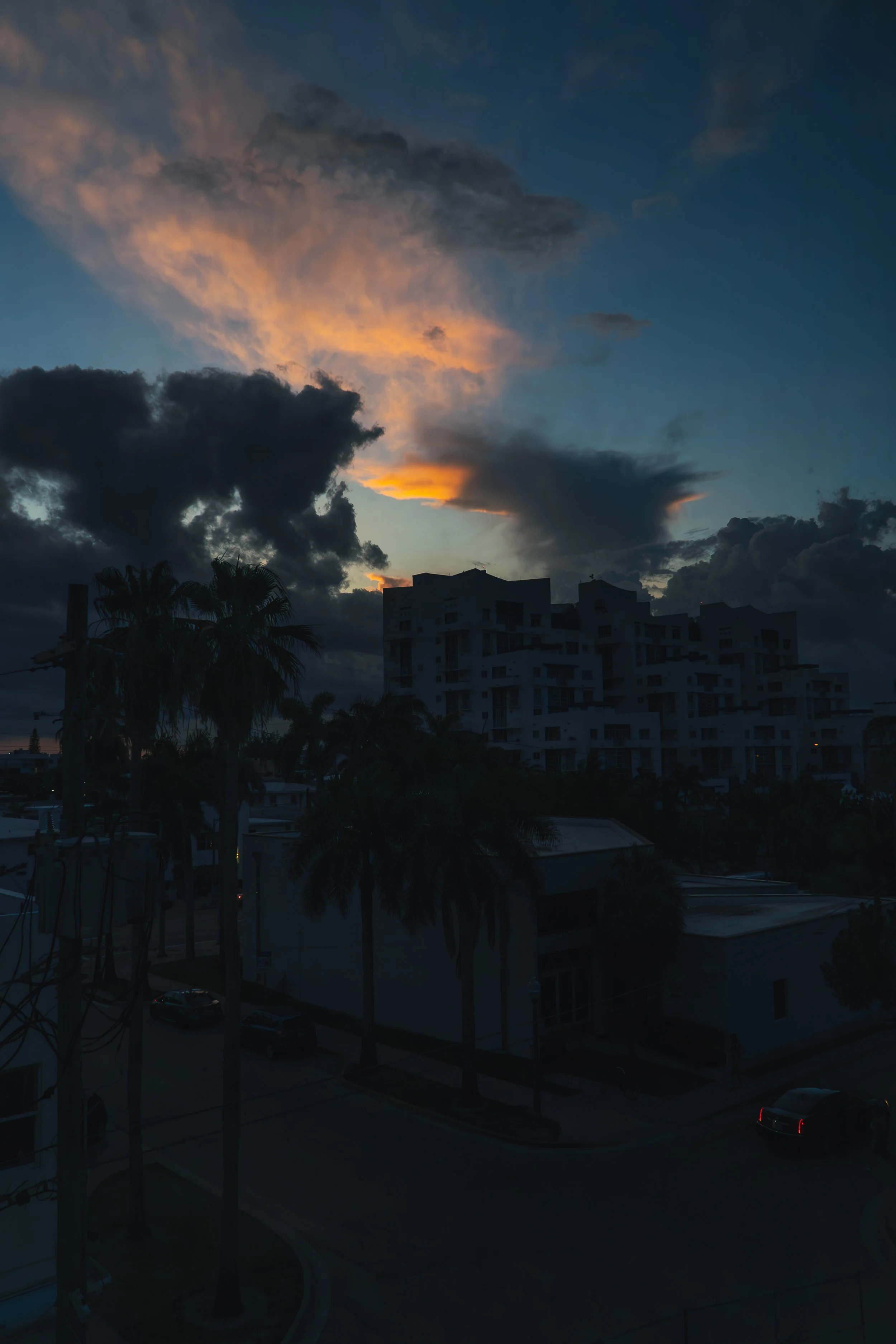 DSC07274-Enhanced-NR.jpg