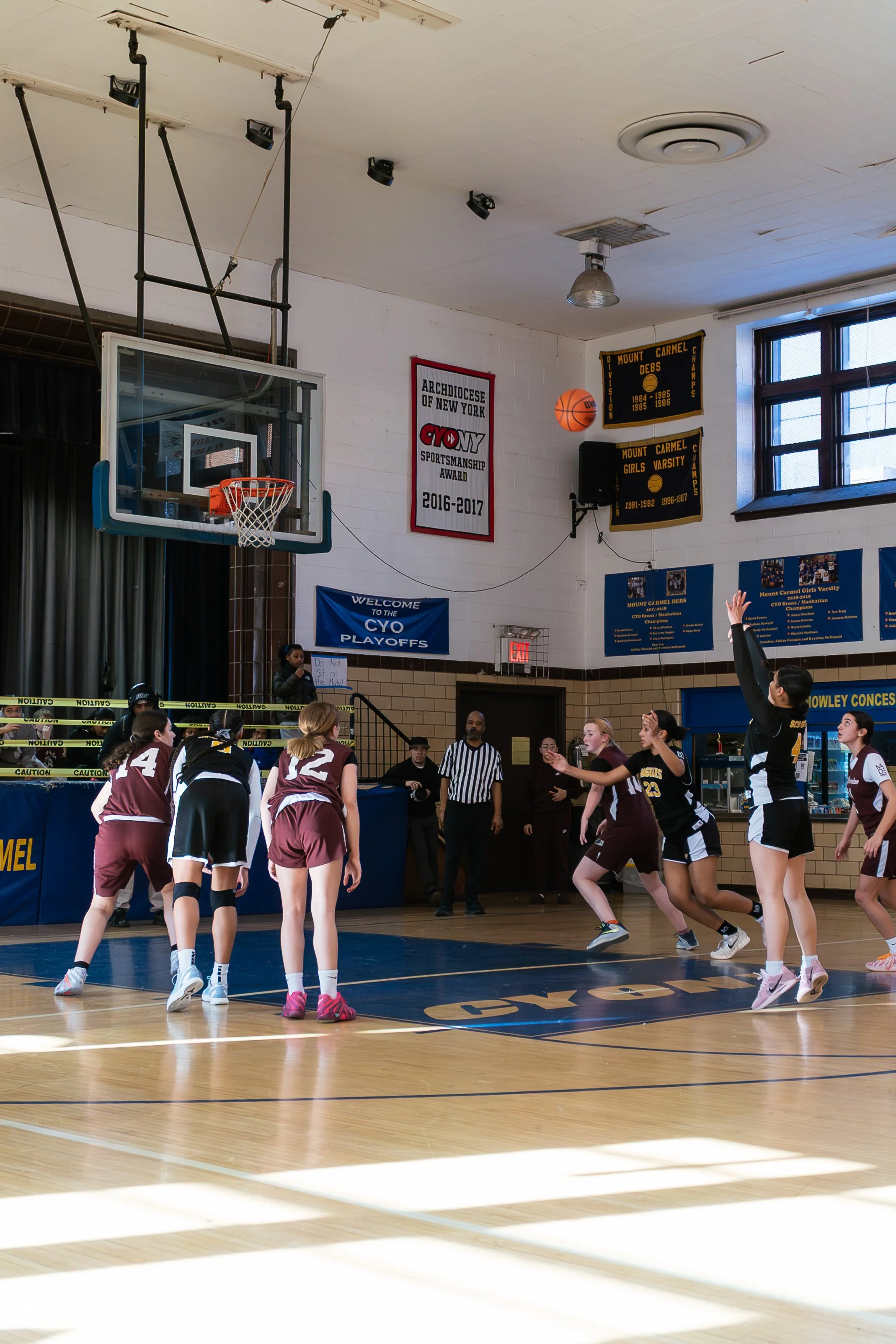 DSC08684.jpg