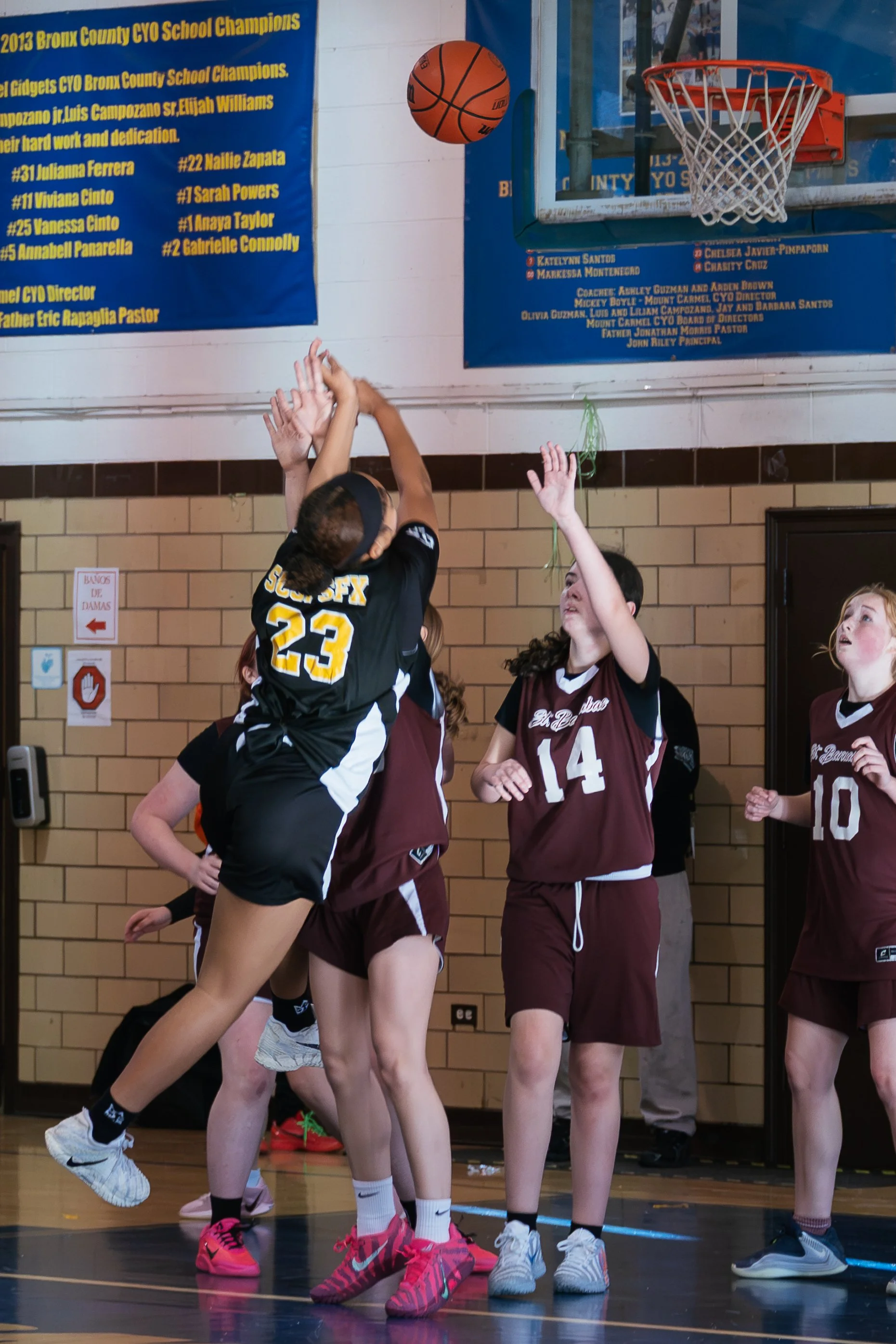 DSC08783.jpg