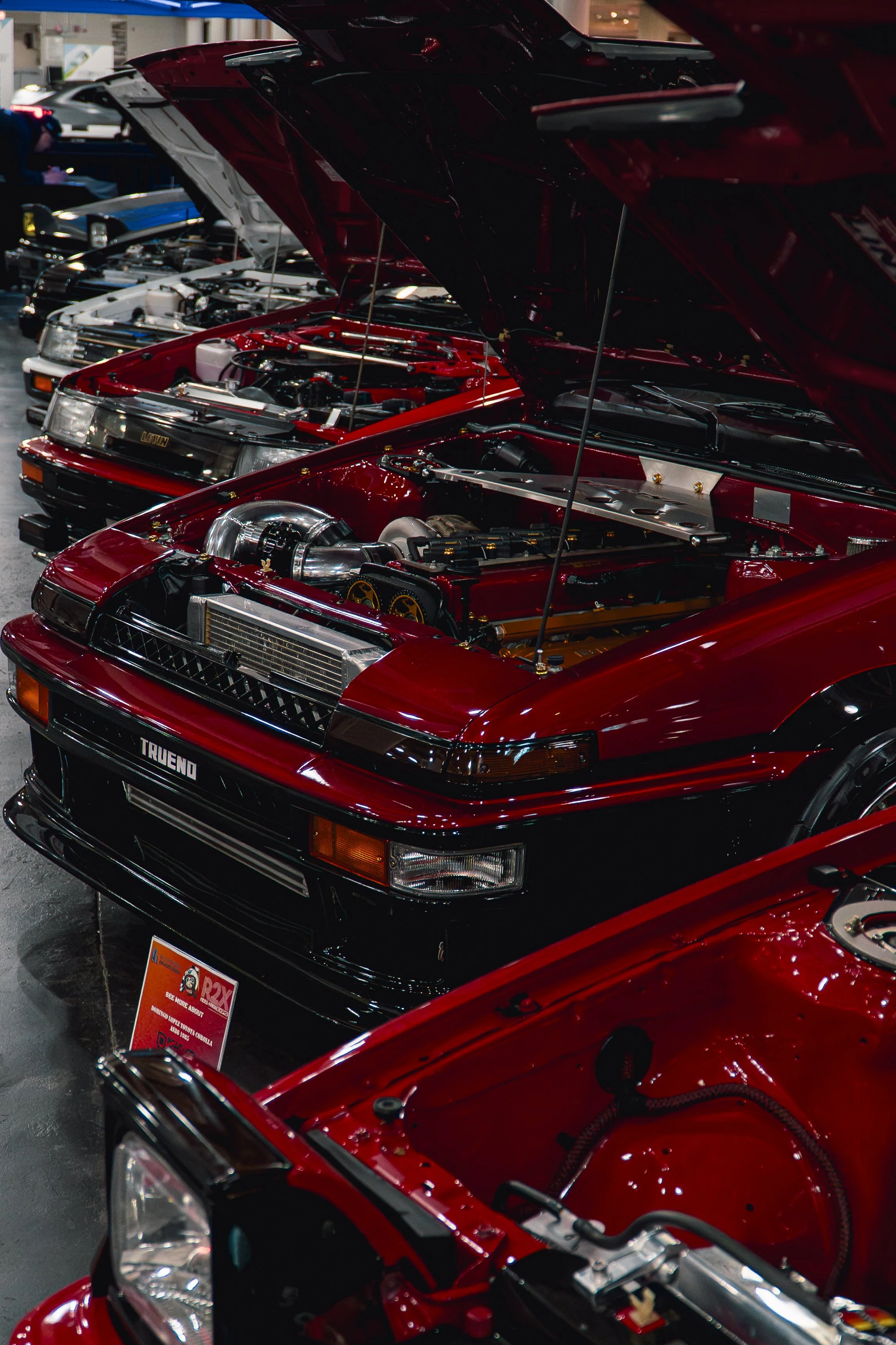 DSC00554.jpg
