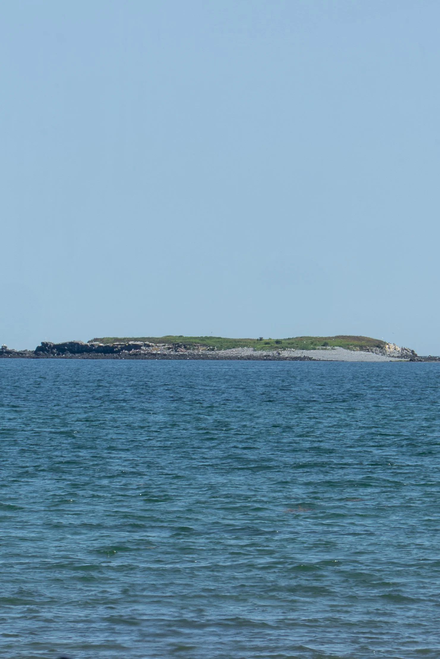 DSC02090.jpg