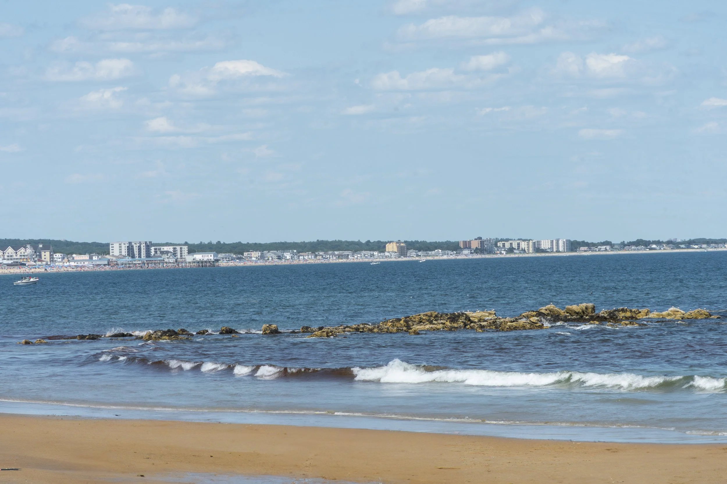 DSC02115.jpg
