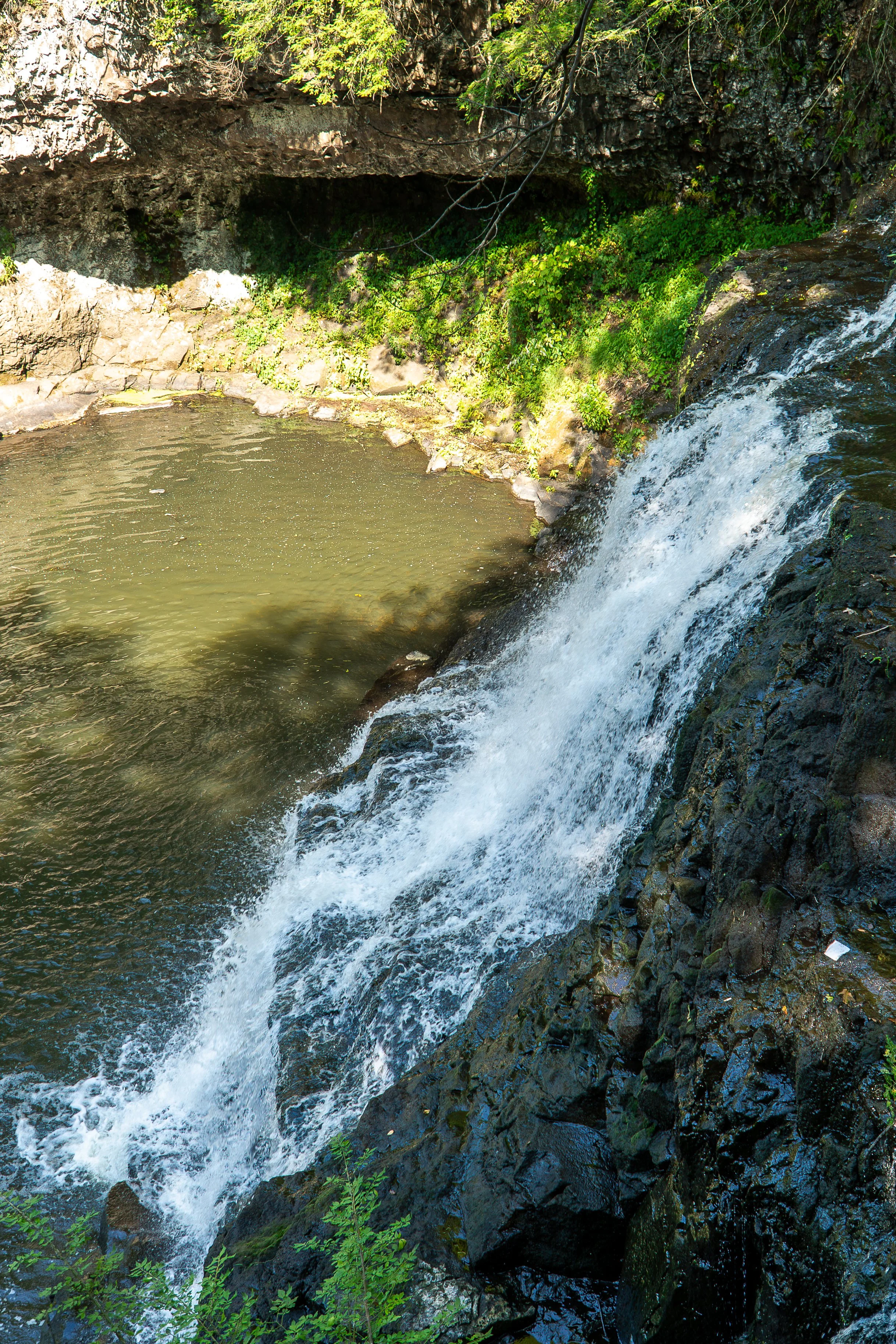 DSC02595.jpg
