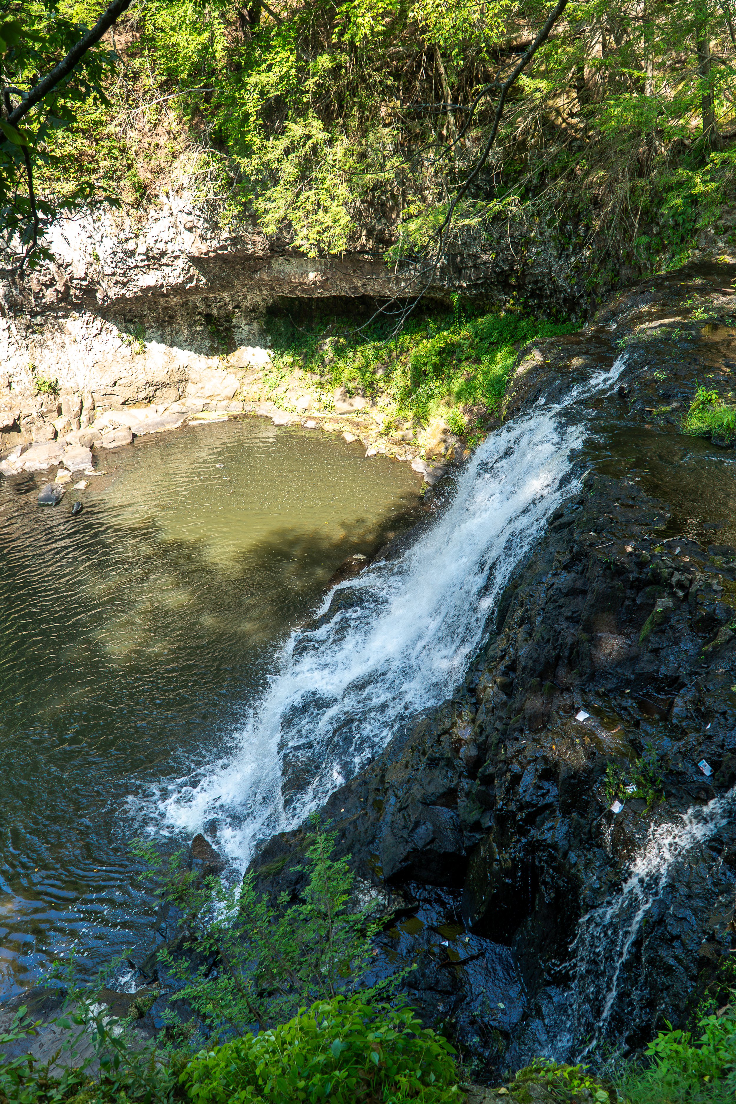 DSC02597.jpg