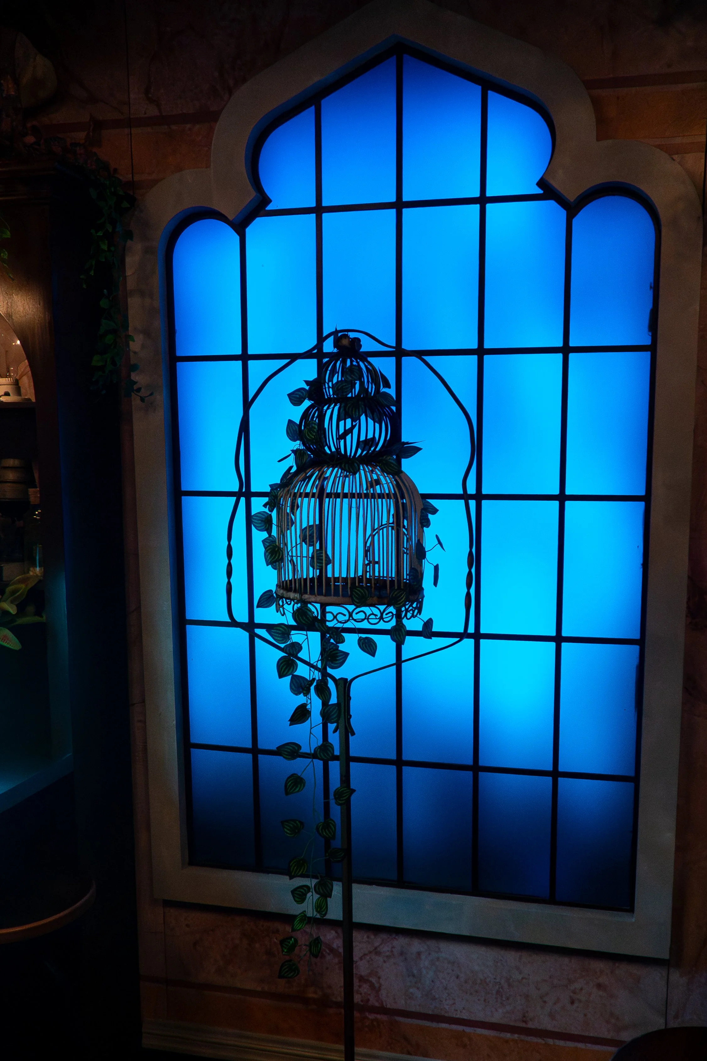 DSC07270.jpg