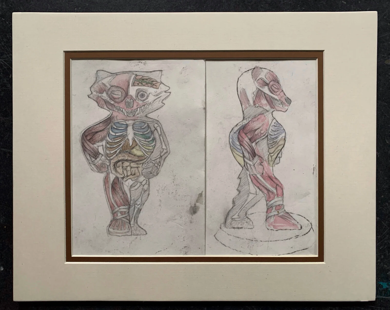 Bucky on Parade Proposal small.jpeg