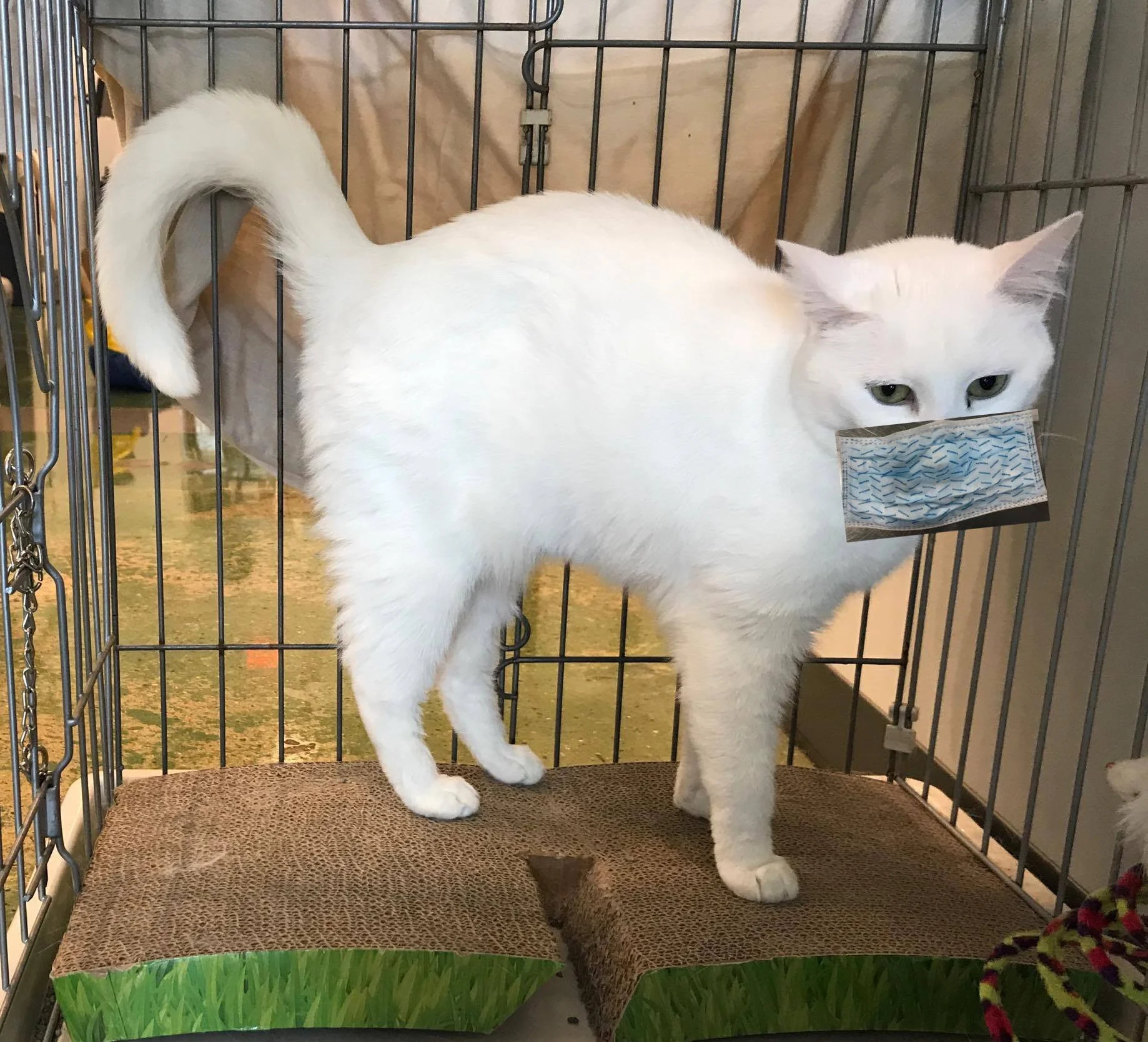 riverside veterinary clinic