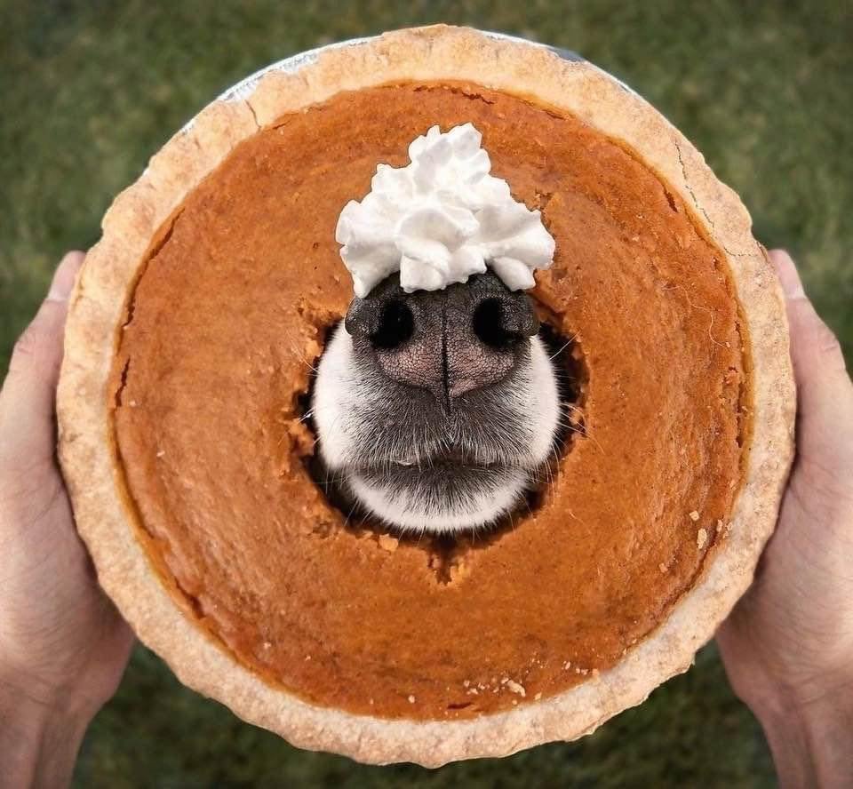 We hope you and your furry family members have a safe, cozy, and joy-filled holiday! Please note that our clinic will be closed Thursday and Friday so our team can spend the holiday with their loved ones. We&rsquo;ll reopen with normal hours on Monda