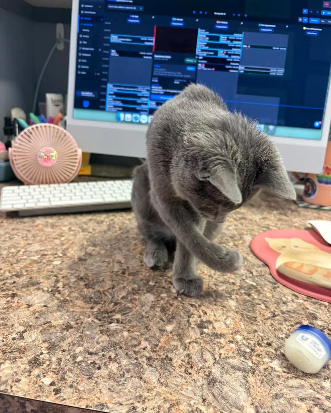 Sorry if we don&rsquo;t answer our new receptionist does not know how to use a phone&hellip; or computer. Clearly she was a personality hire.