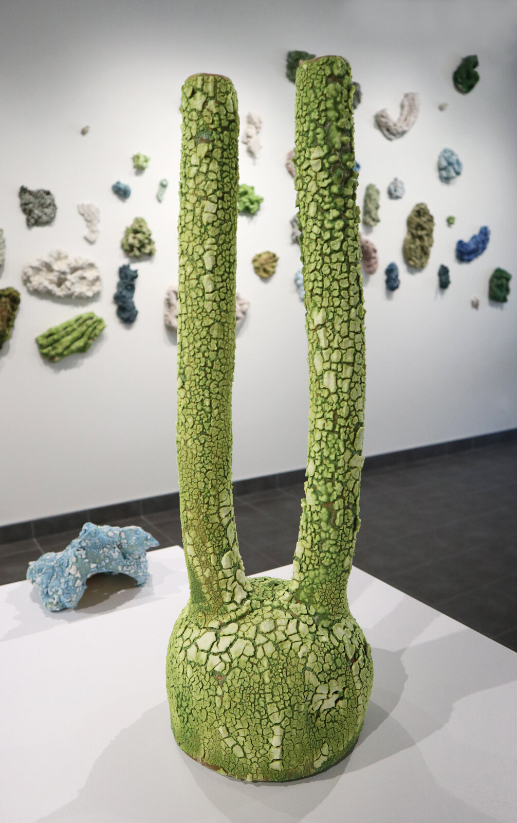 SCC Exhibition, 2019