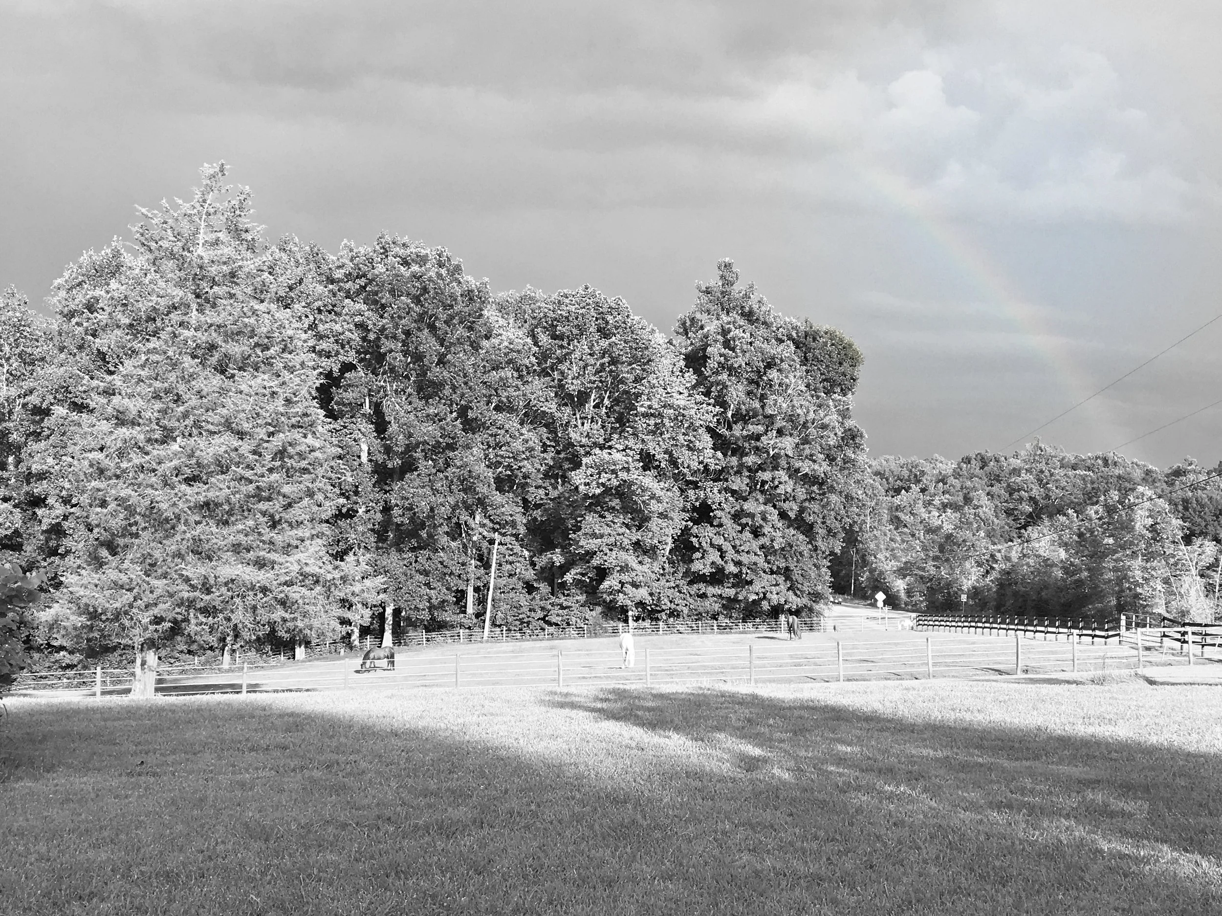 rainbow.jpg