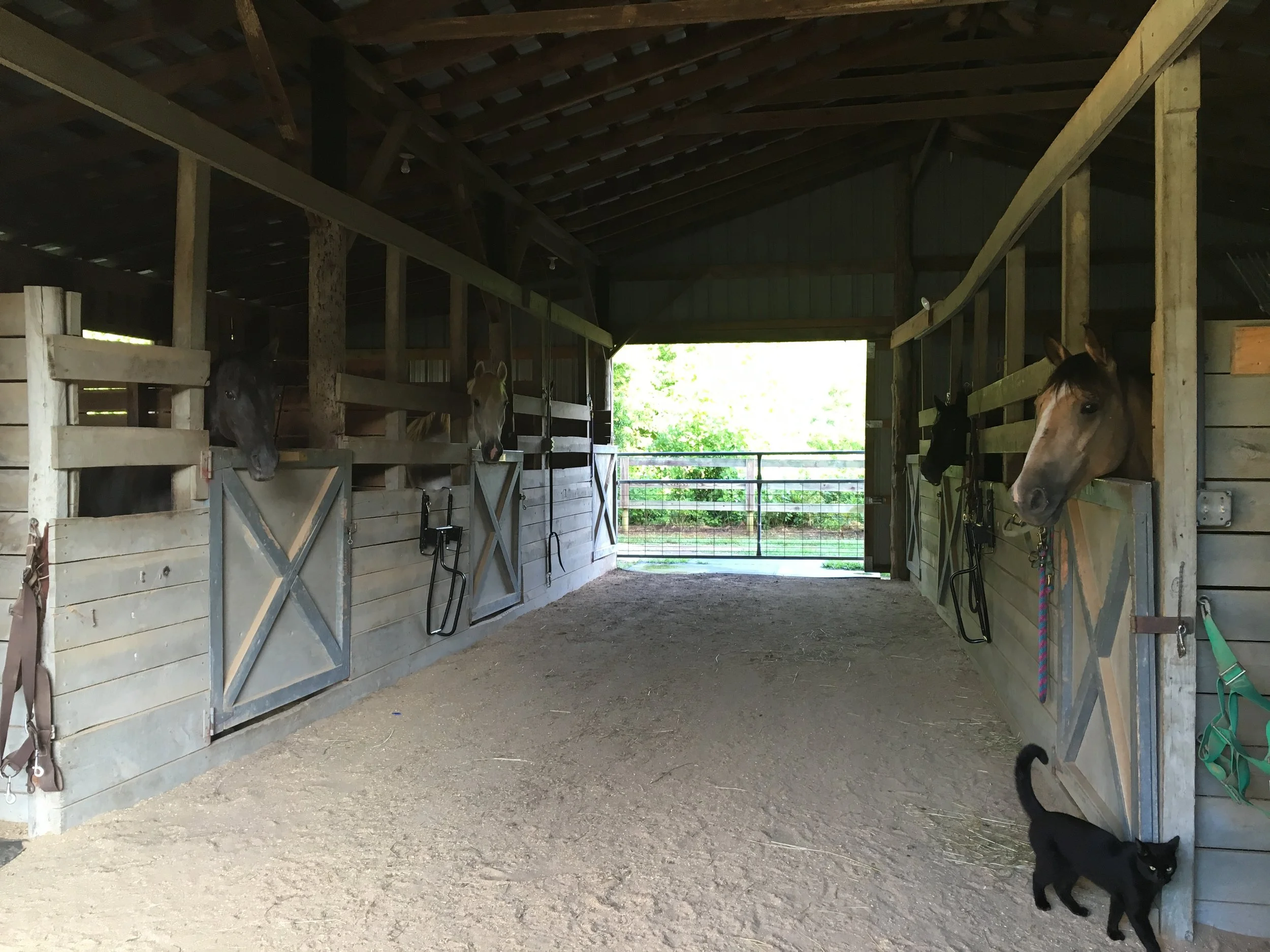 barn.jpg