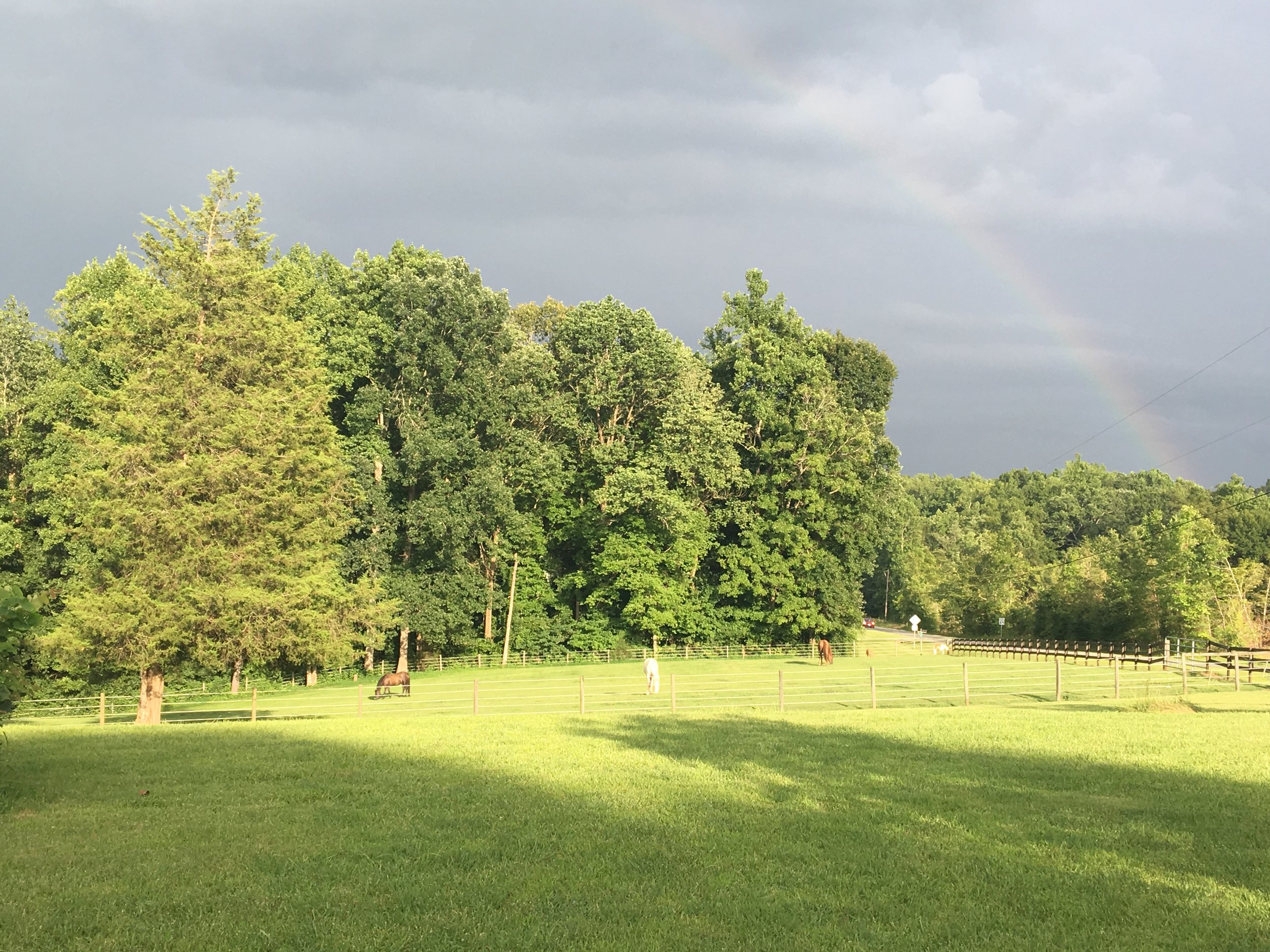 front pasture with rainbow.jpg