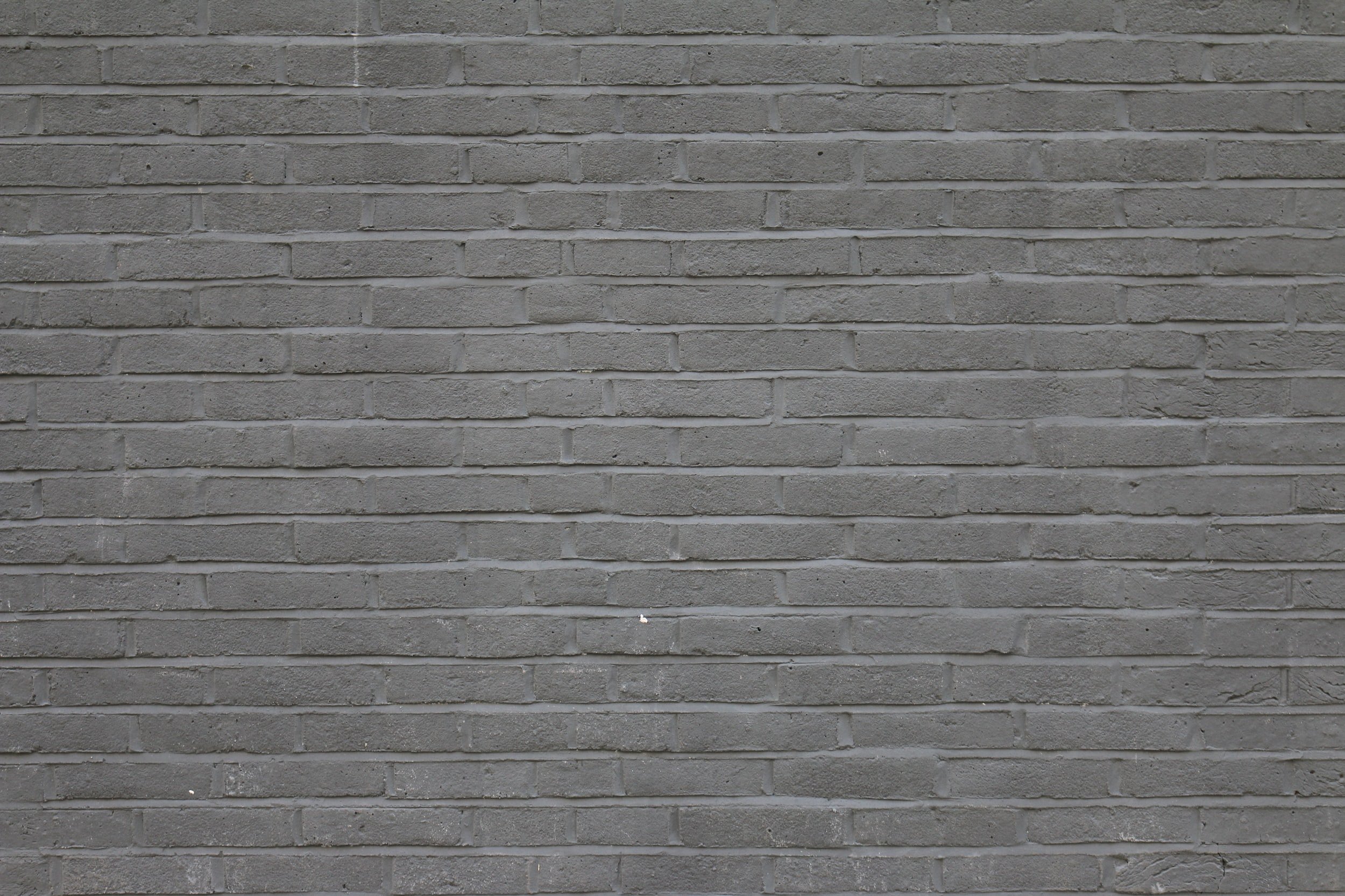 unsplash-image-2rdDx8HBIKA.jpg