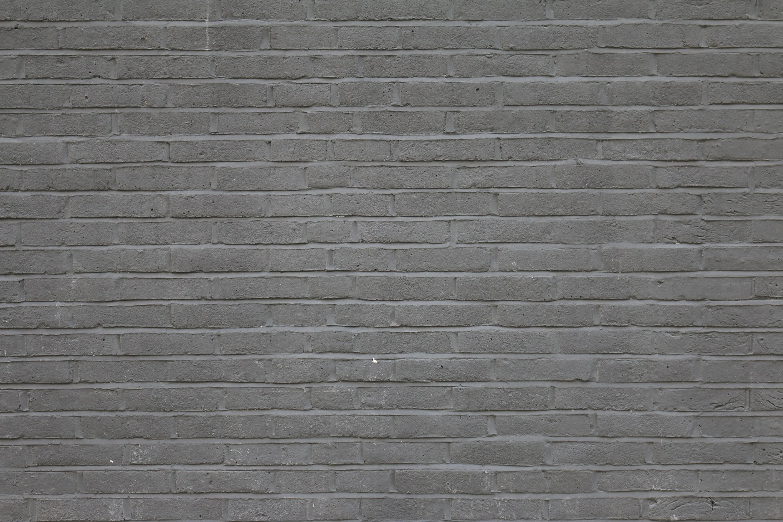 unsplash-image-2rdDx8HBIKA.jpg