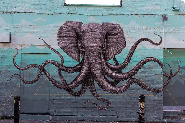 octo-1.jpg
