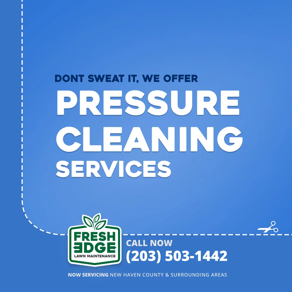 Fresh-Edge-2000x2000_blue.jpg