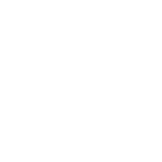 White Pineapple Etsy.png