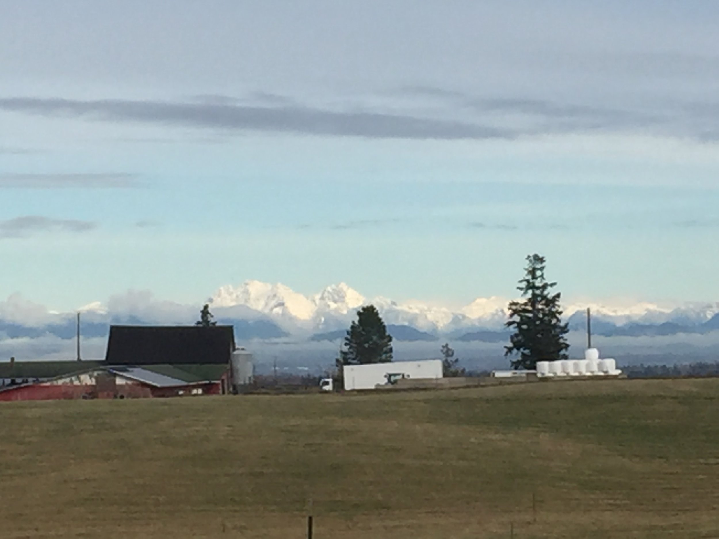 The pigs have a great view of the Canadian Cascade range, and the new mobile processing unit of the North Cascades Meat Producers Cooperative. This unit lives at Circle F these days, and the cooperative is getting ready for the launch of their MPU this fall. 
