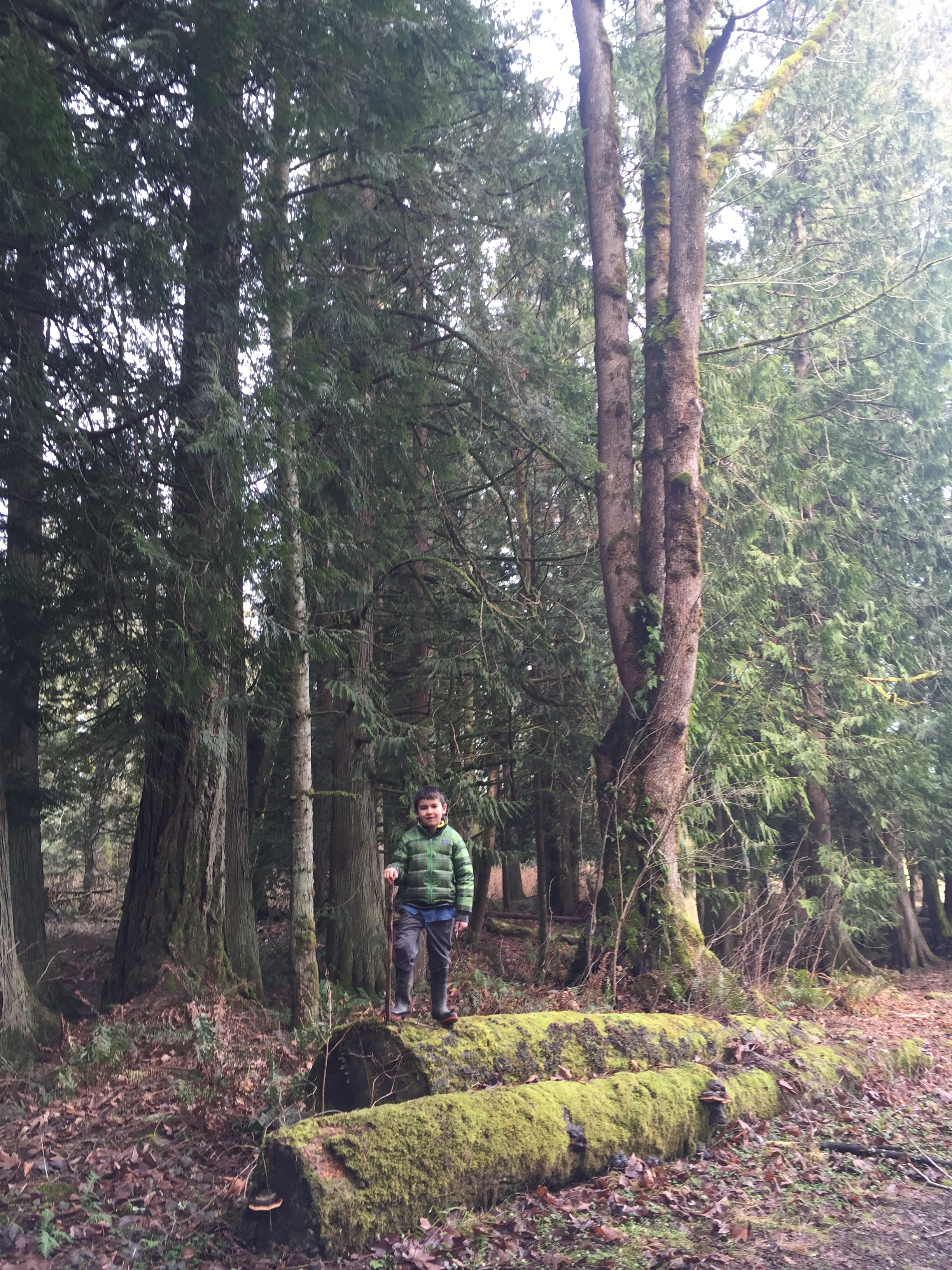 Our field at Circle F backs up onto many acres of forest on Squalicum Mountain. We are looking forward to being able to explore more as the season goes on...