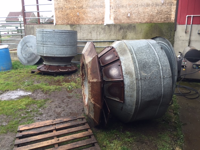 After a long search we have located the 40 bushel (and bonus, one 20 bushel) feeders we have been dreaming of. Here they were pressure washed to remove gunk from storage and previous use. 