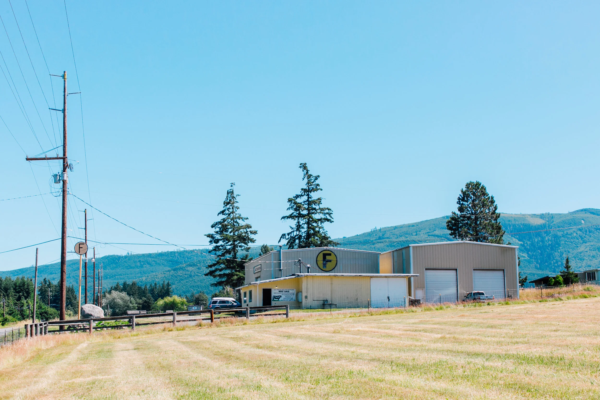 bellinghamphotographerkatherynmorancircleffarmalluvial10.jpg