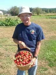 Bellingham Country Gardens U-pick, no spray, berries and vegetables. Check facebook for hours and crops in season. Visit with Sam and Donna Grubbs on their heritage farm.