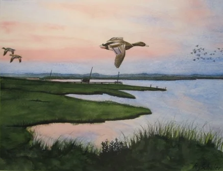 Mallard in Flight; Watercolor