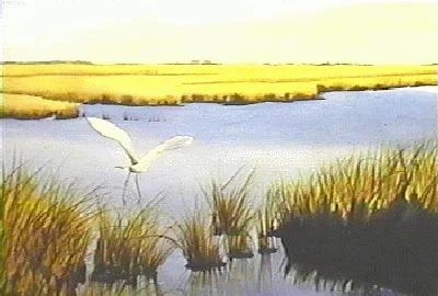 marsh.jpg