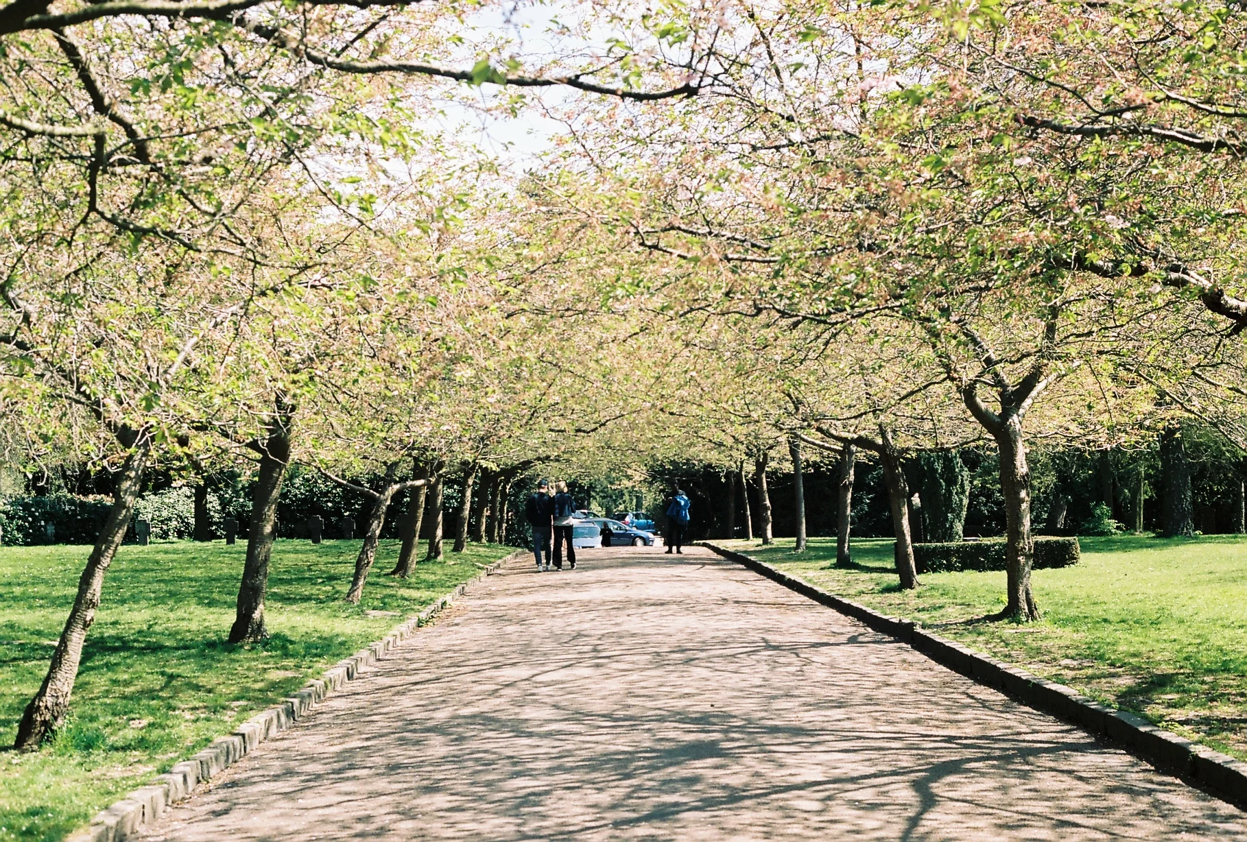 A004956-R1-03-3.jpg