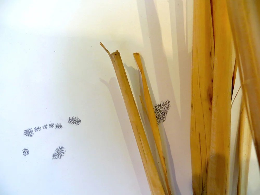 Quilombo (Detail 8).jpg