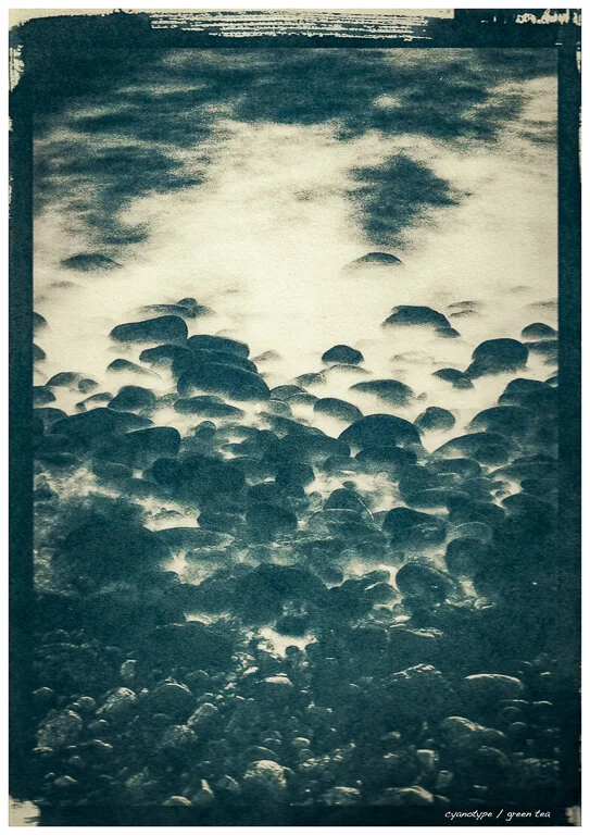 12_Cyanotype_4.jpg