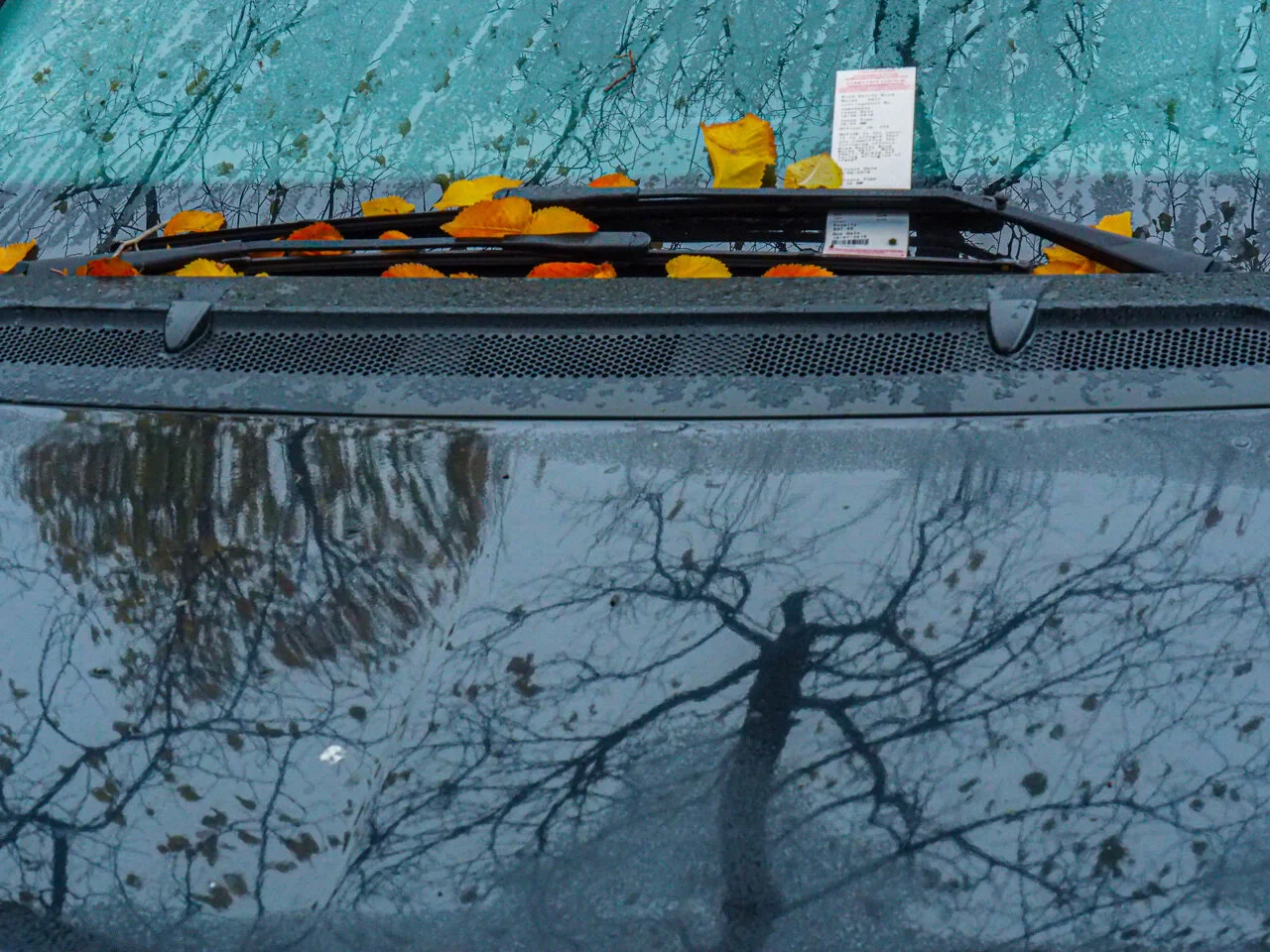 6 parking ticket.jpg