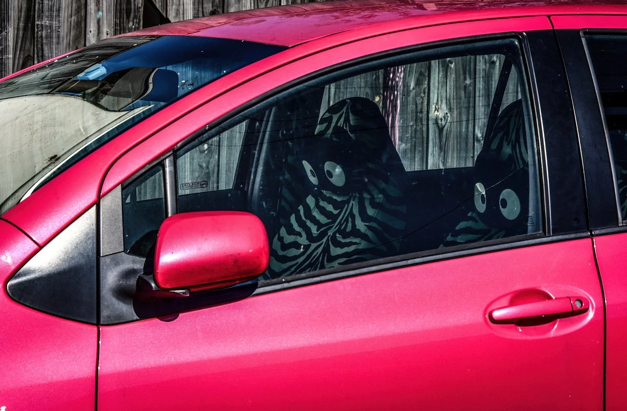 A4 strange passengers T Bajurnow.jpeg