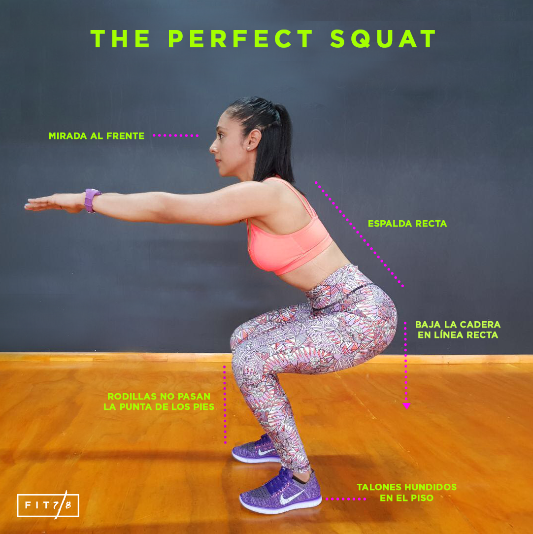PERFECT SQUAT.png