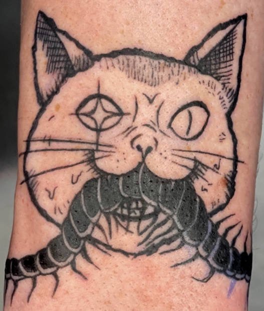 mattcat.jpeg
