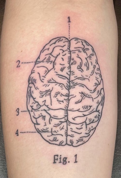 mattbrain.jpeg