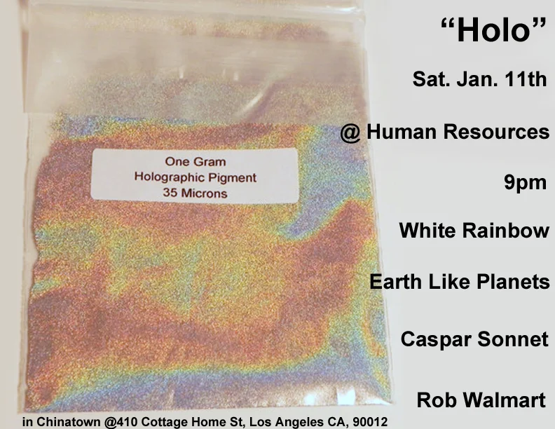 holographic pigment poster HOLO copy handout flyer copy.jpg