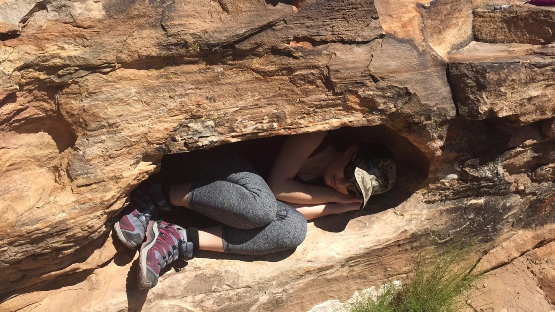 Picture opportunity. 