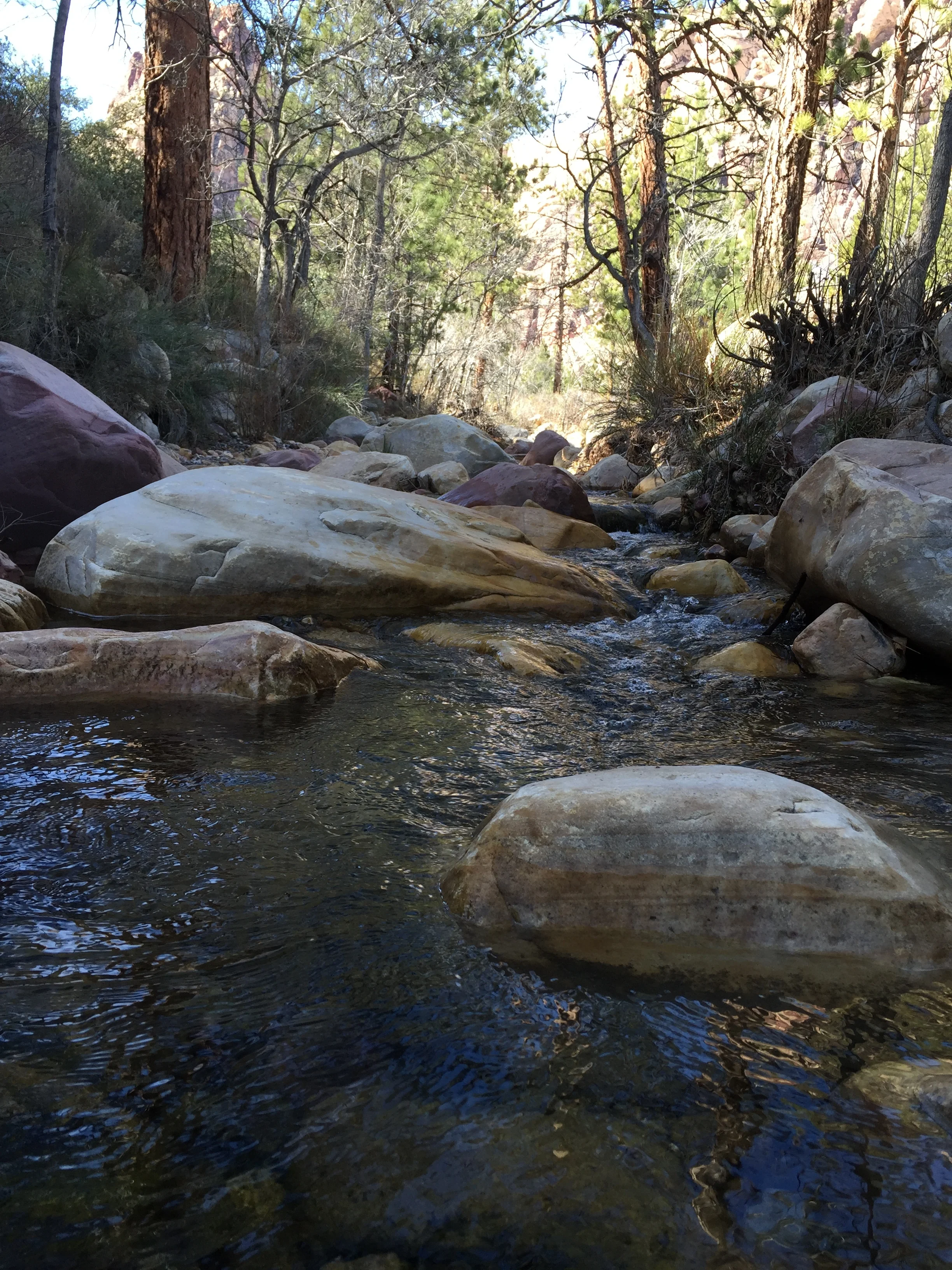 Depending on the season, there's plenty of water. 