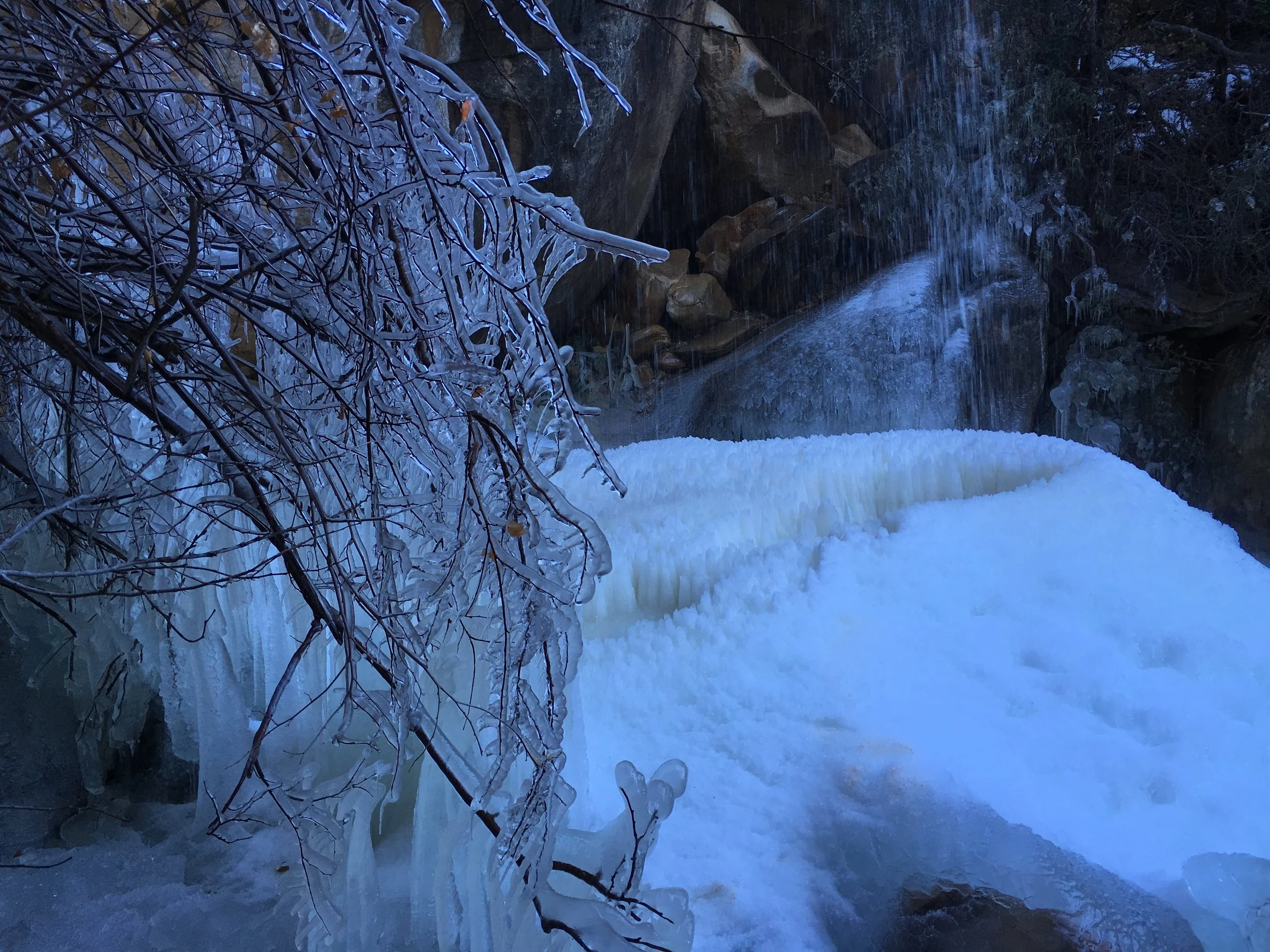 Frozen at the bottom. 