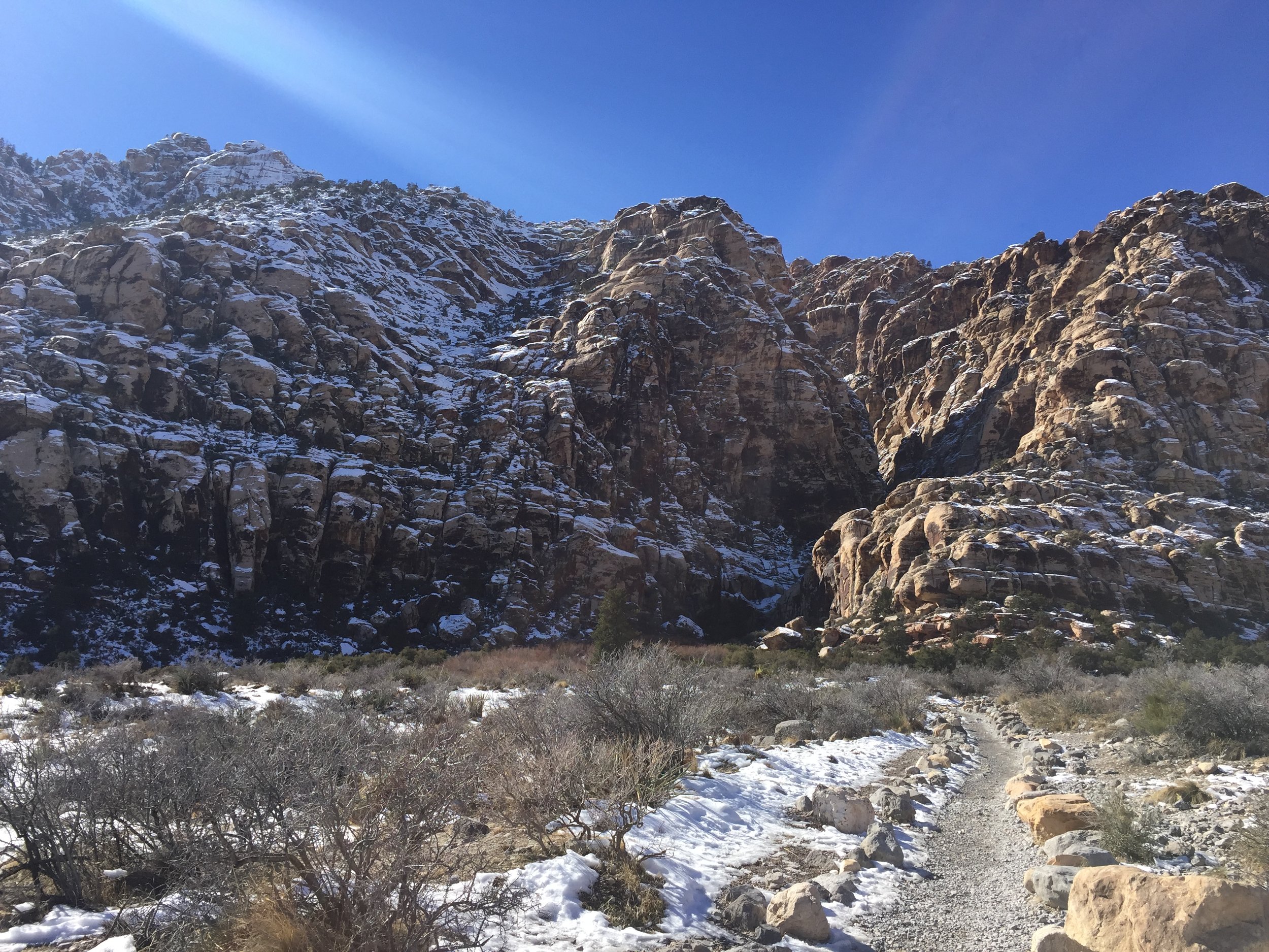 Following the trail. 